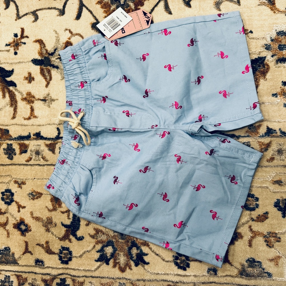 Drill Clothing conpany Light Blue Swim Shorts with Pink Flamingo Print